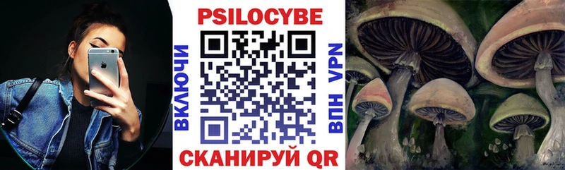 ссылка на мегу зеркало  Бугульма  Галлюциногенные грибы Psilocybe 